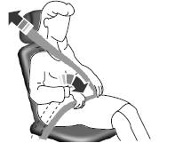 Pregnant women should always wear their safety belts. The lap belt portion of