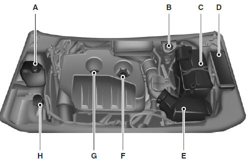 A. Engine coolant reservoir