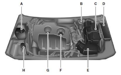 A. Engine coolant reservoir