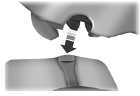 Make sure that the rear latch hooks are properly engaged with the floor striker.